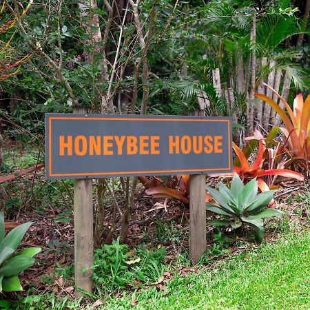 فيلا Honeybee House كوراندا المظهر الخارجي الصورة